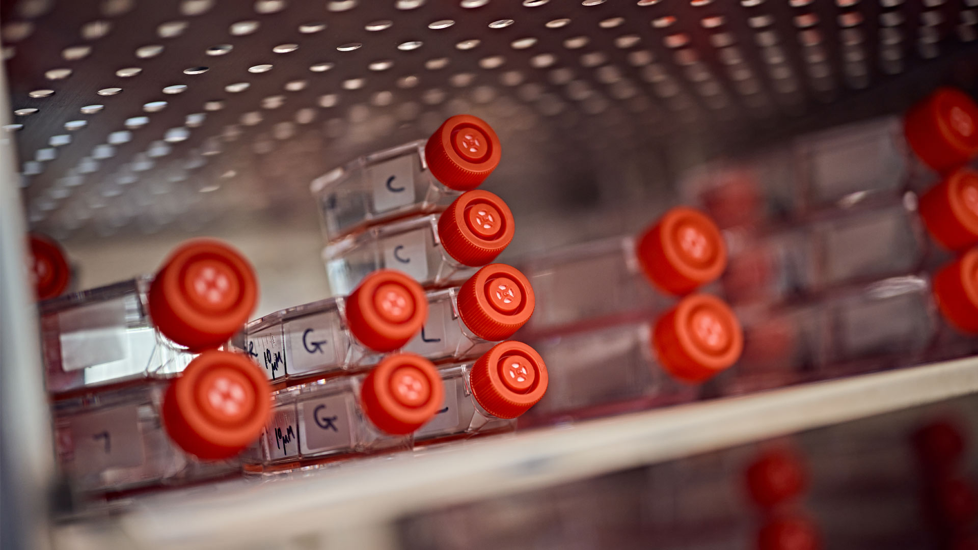Medical test tube samples being stored in equipment in labs