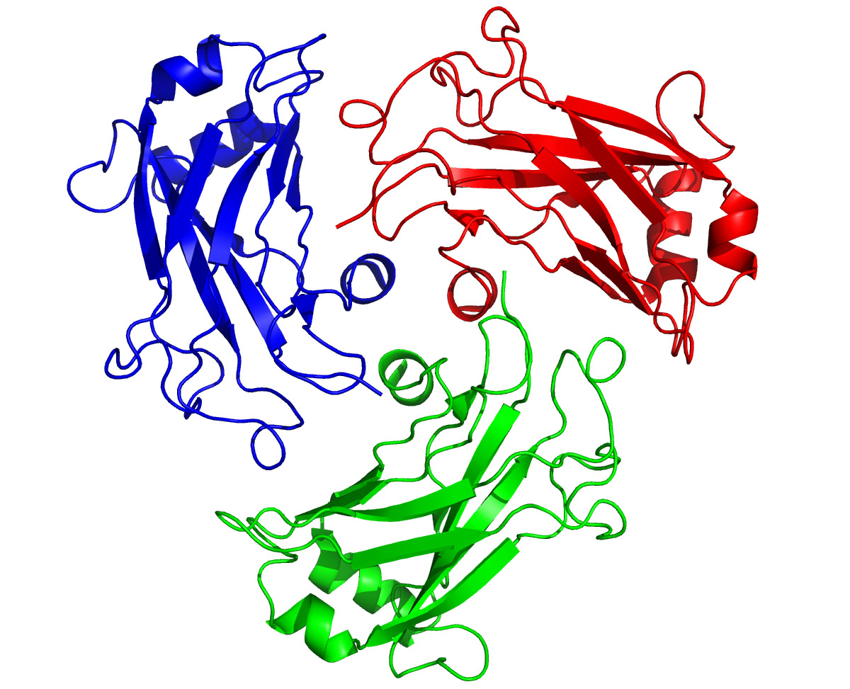 Cancer curing molecules