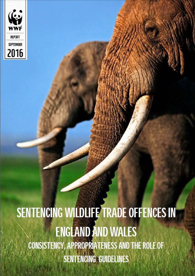 Wildlife crimes on trial