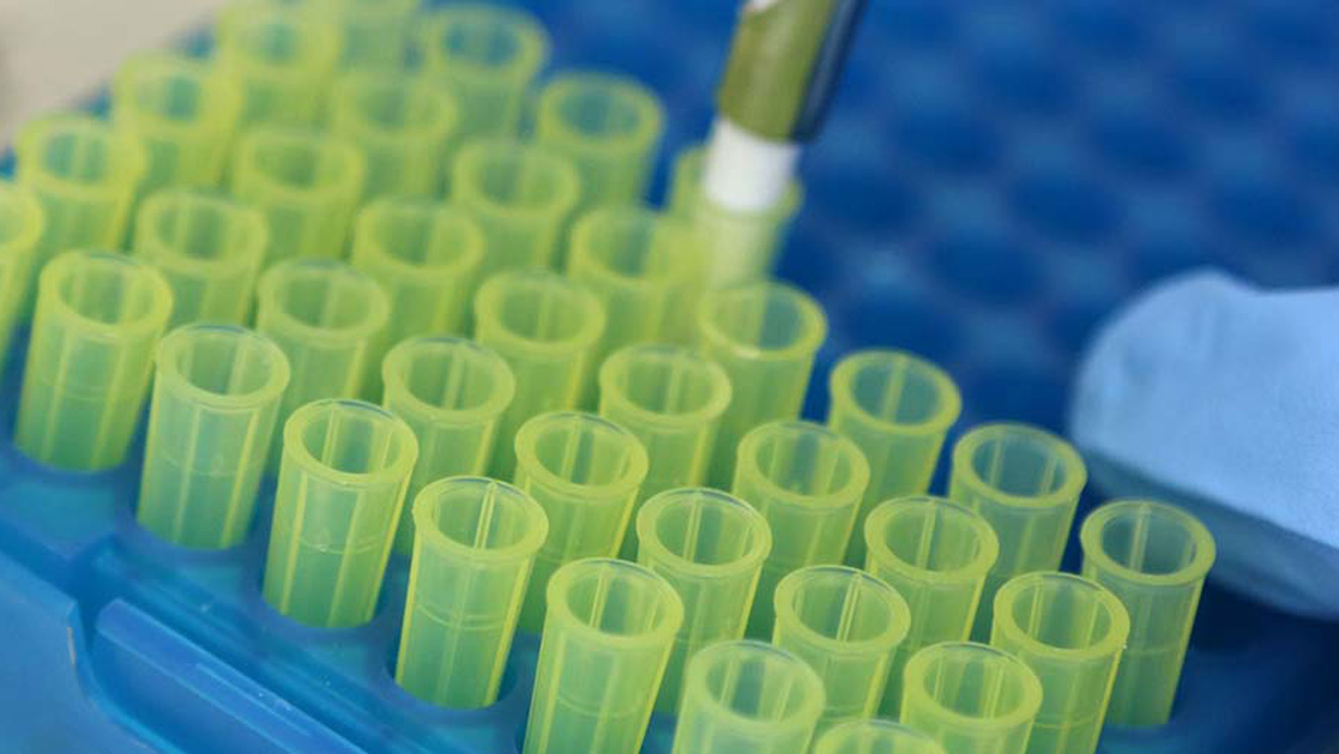 Pipetting fluids prior to analysis