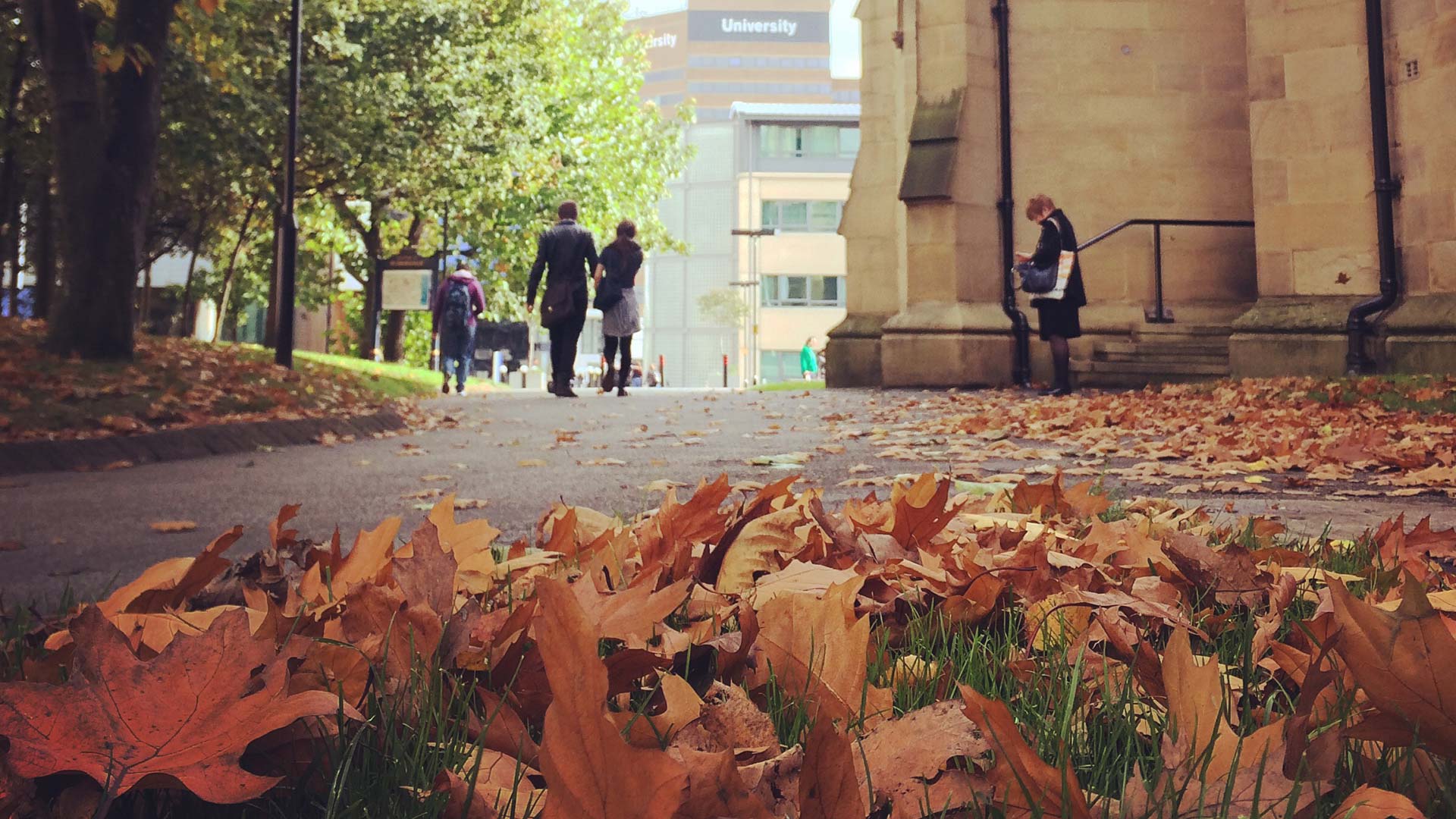 Picture of autumn leaves around St Pauls