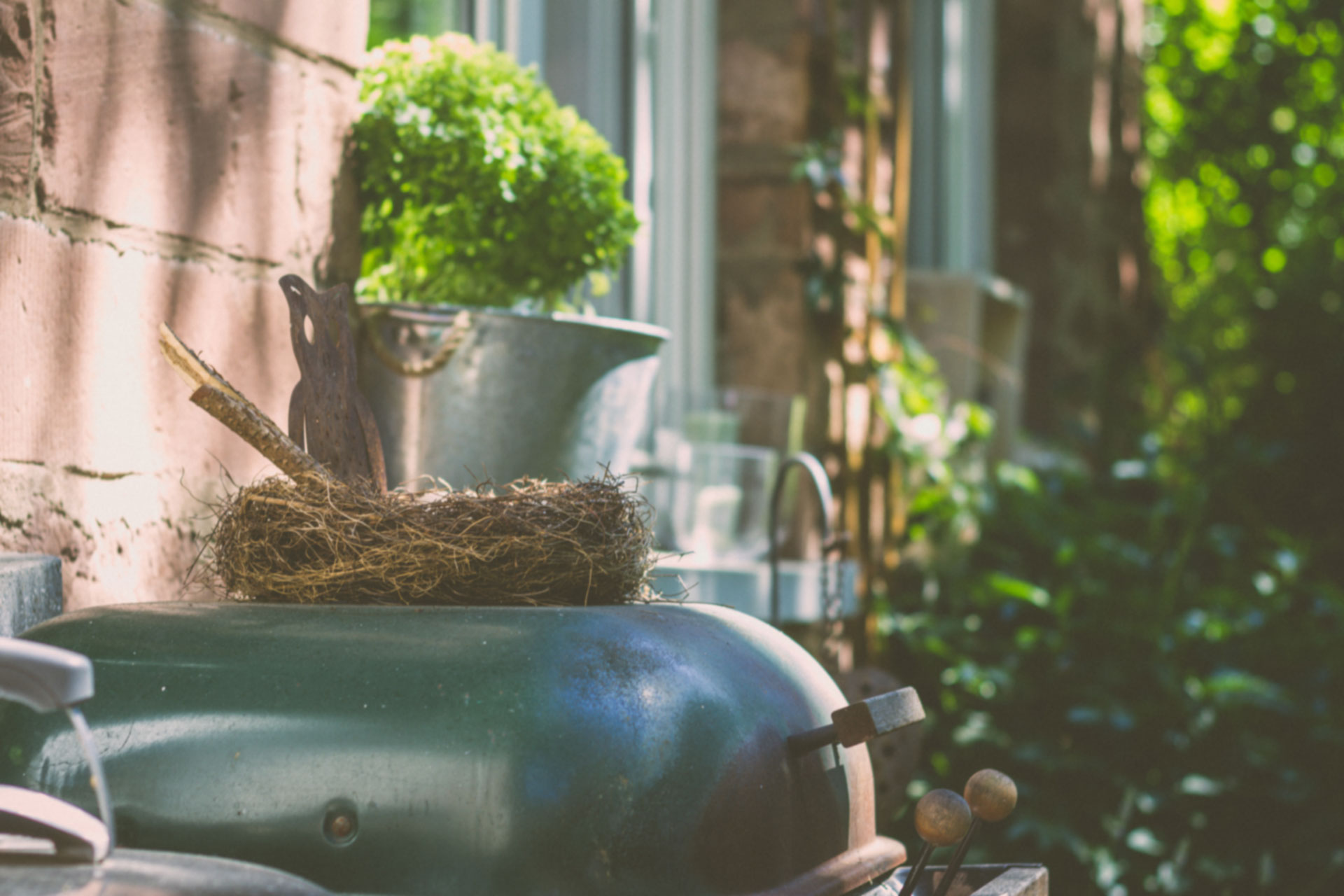 a nest outside, on top of a grill, beside a house.