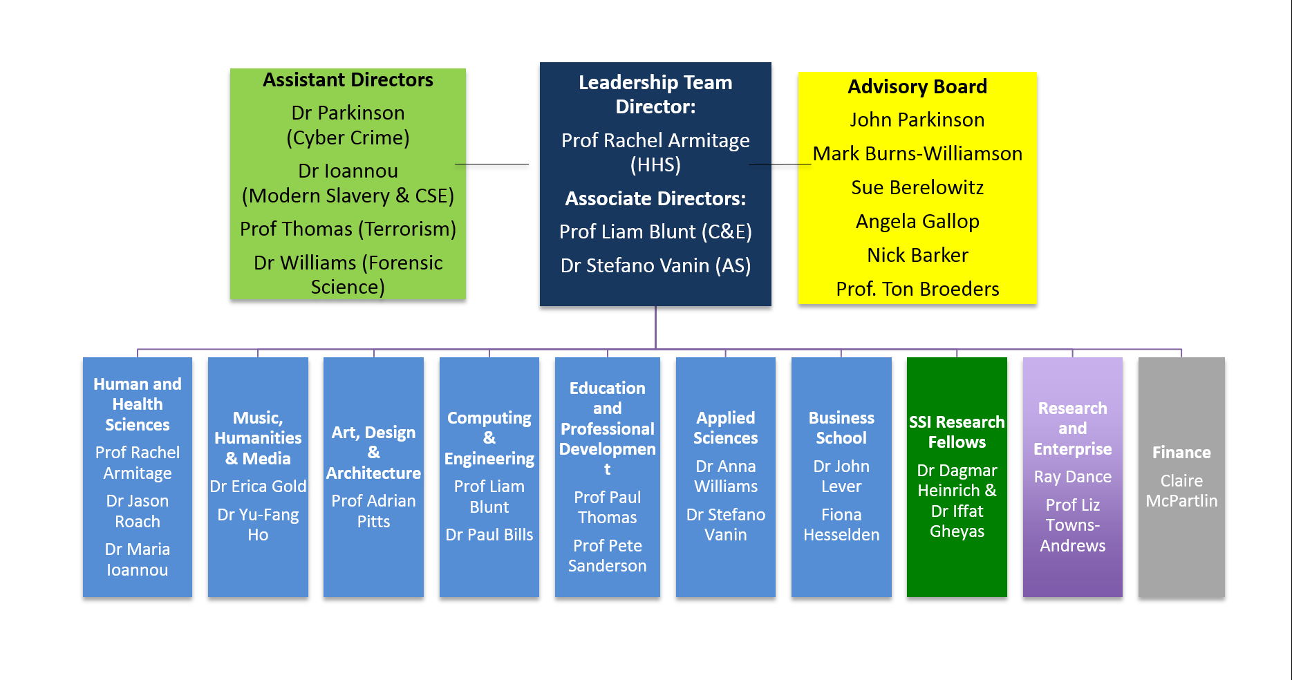 Chart showing the organisational structure of the Secure Societies Institute.